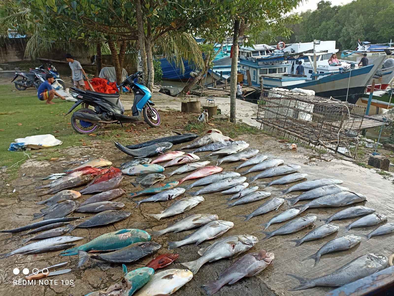 Fishing Trip Benawo